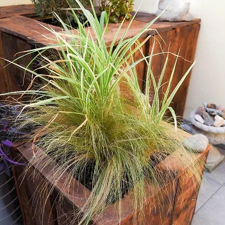 Feriehus Via Natta 15 - The House Of Travelers