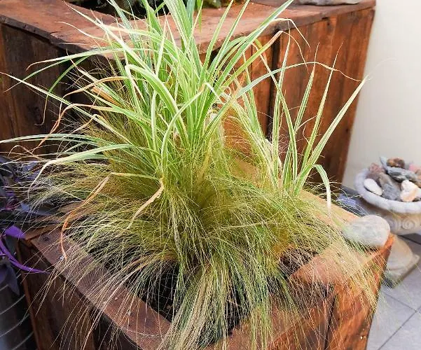 Holiday home Via Natta 15 - The House Of Travelers